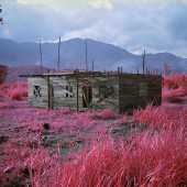 ©Richard Mosse.  Courtesy of the artist and Jack Shainman Gallery, New York.